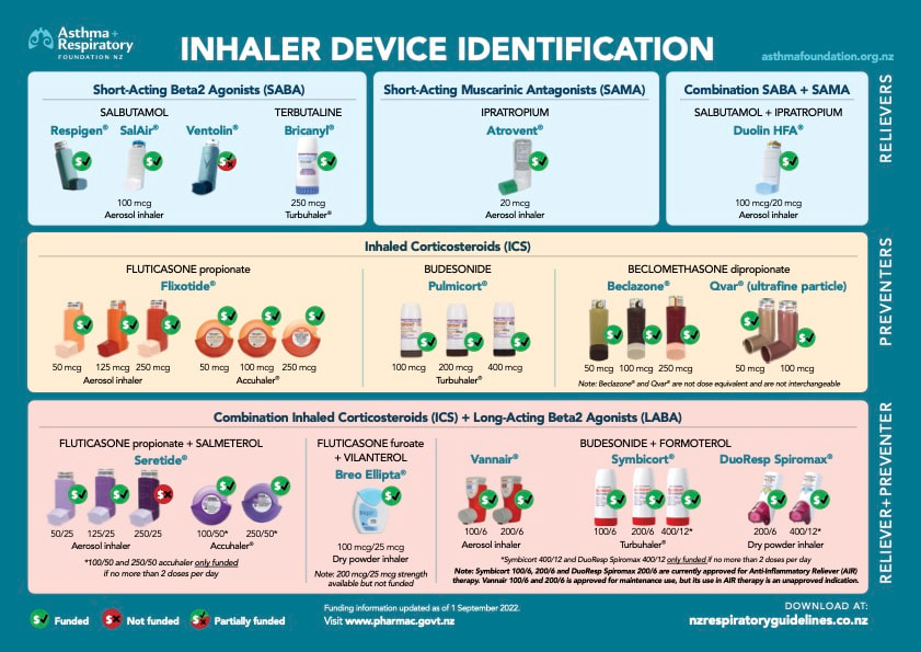 Inhaler Identification Nz Respiratory Guidelines